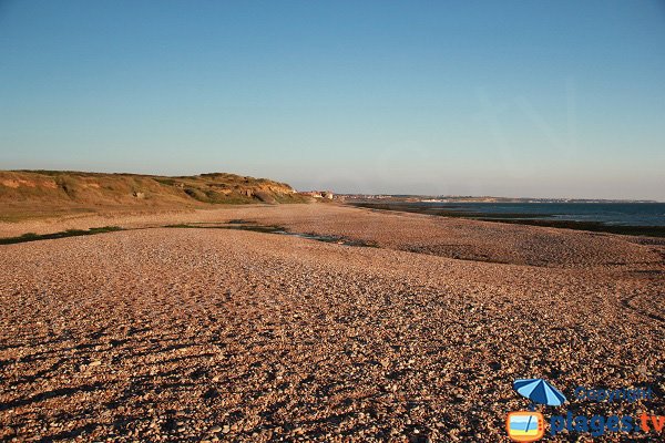 Plage sauvage à Audresselles