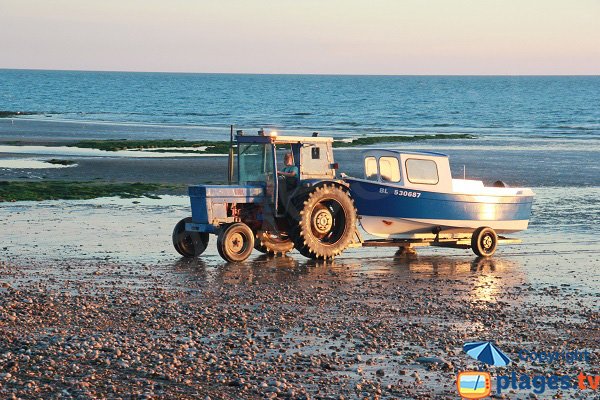 flobarts à Audresselles