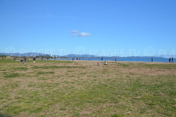 Pelouse sur la plage de l'Ayguade à Hyères