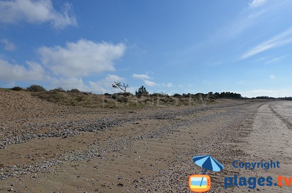 Large beach of Aytré