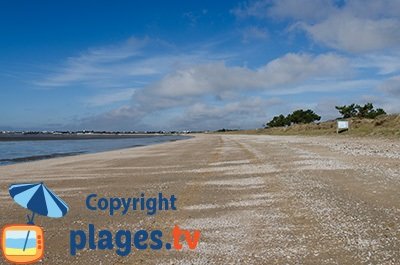 Plage à Aytré