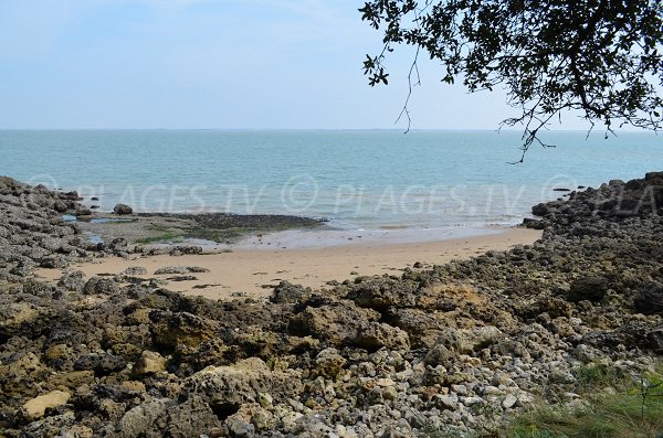 Des rochers impressionnants sur cette plage