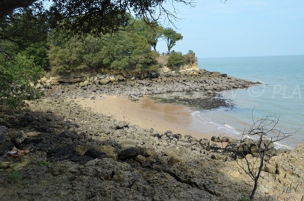 Baby plage de l'île d'Aix