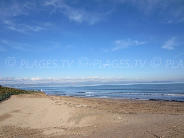 Spiaggia di sabbia nella penisola di Giens - La Badine