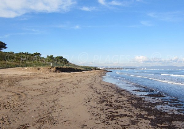 Spiaggia Badine - Hyères