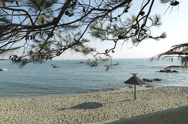 Plage de Bagheera en Haute Corse - Linguizzetta