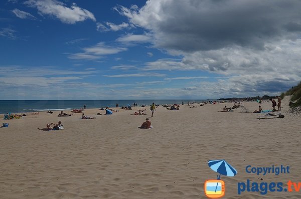 Photo de la plage de Bagnas à Marseillan - Cap d'Agde