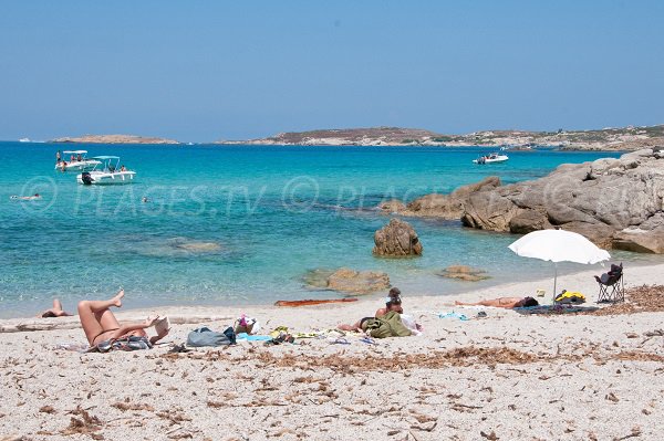 Crique secrète dans la baie d'Algajo en Corse