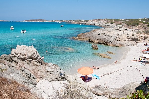 Foto della spiaggia Algajo a Lumio in Corsica