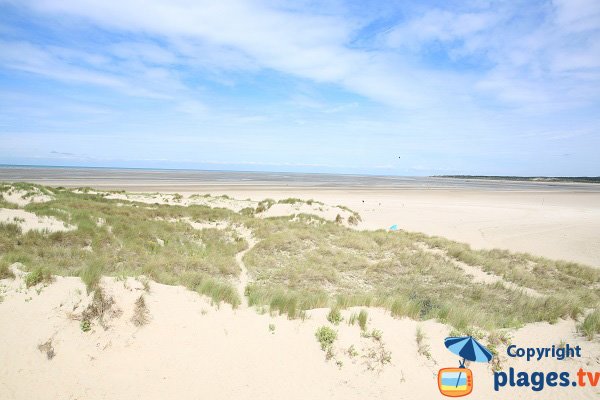 Plage au nord du Touquet - La Canche