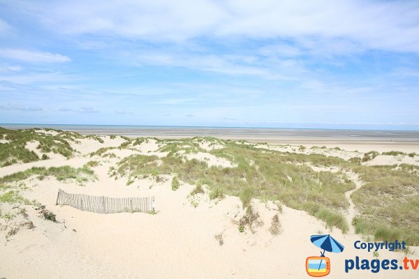 Dune area in Le Touquet near Canche bay