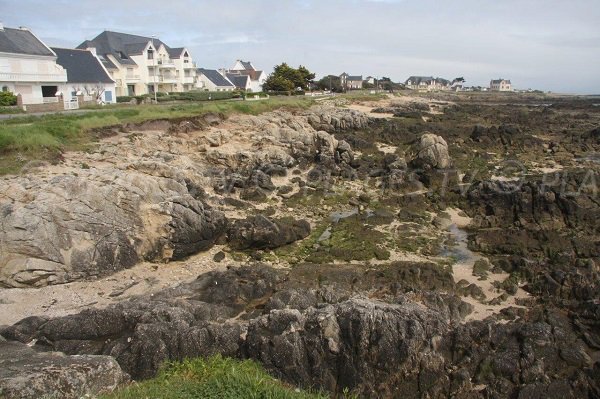 Wild Coast in Le Croisic