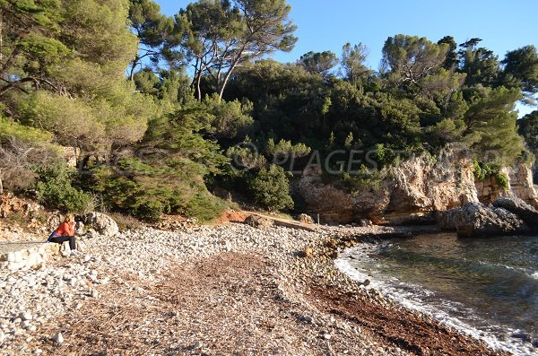 Cadre sauvage pour cette plage sur le Cap d'Antibes