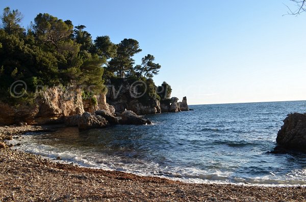 Anse protégée dans le Cap d'Antibes