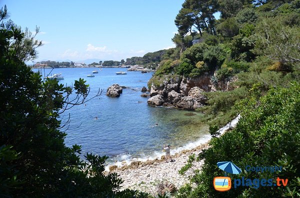 Anse de l'Argent Faux