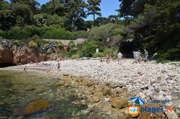 Crique dans la baie des Milliardaires - Antibes