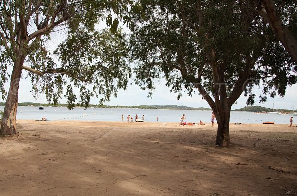 Photo of the Stagnoli beach in Porto-Vecchio - Corsica