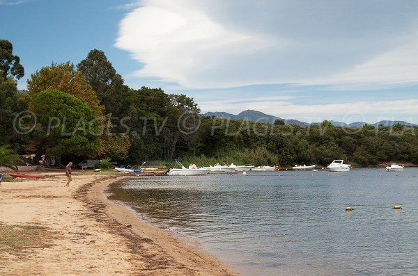 Porto-Vecchio - Baie de Stagnoli