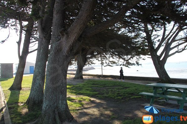 Aire de pique-nique sur la plage de Ste Anne