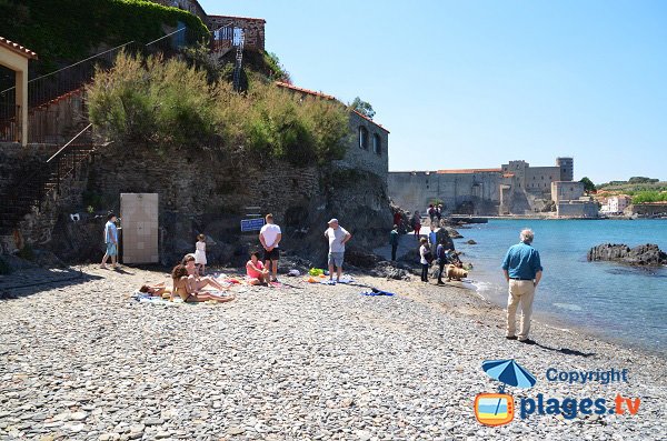 Balette beach of Collioure and view on the castle