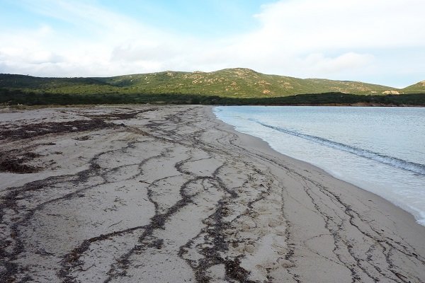 Photo de la plage de Balistra de Bonifacio en hiver