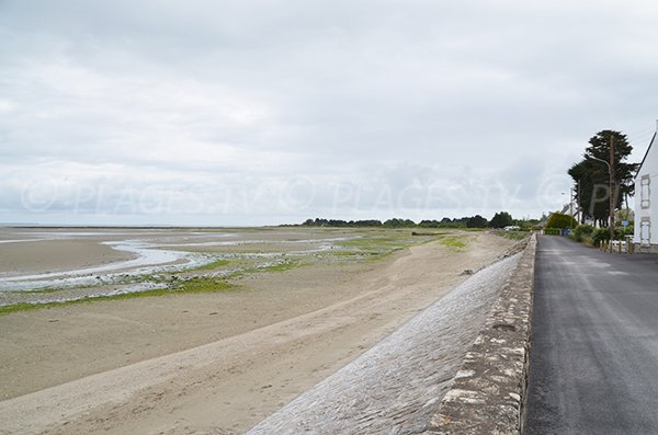 Plage de Banastère en direction de la pointe de Becudo - Sarzeau