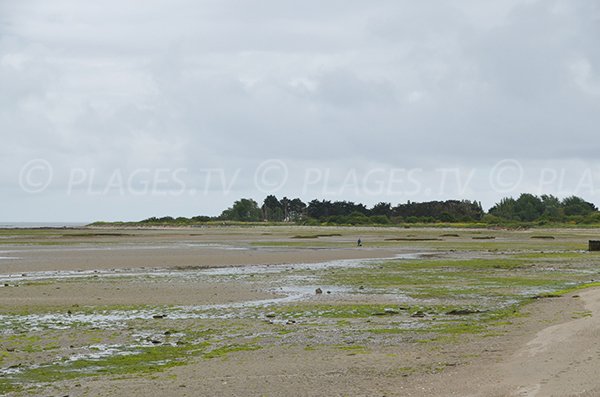 Pêche à pied sur la plage de Banastère