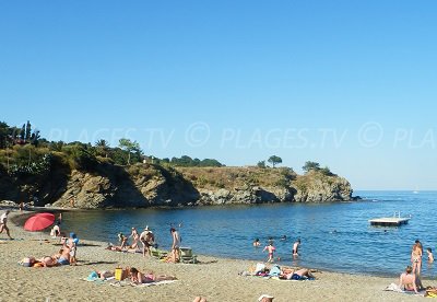 Spiaggia a Banyuls sur Mer in Francia