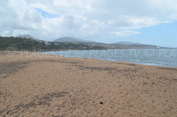 Propriano porto vista dalla spiaggia di Olmeto