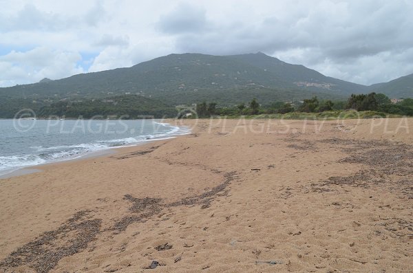 spiaggia selvaggia in Corsica a Olmeto