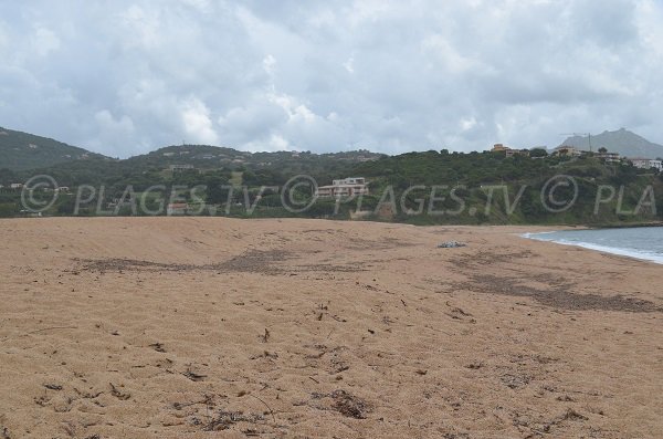 Environnement de la plage de Baracci à Olmeto