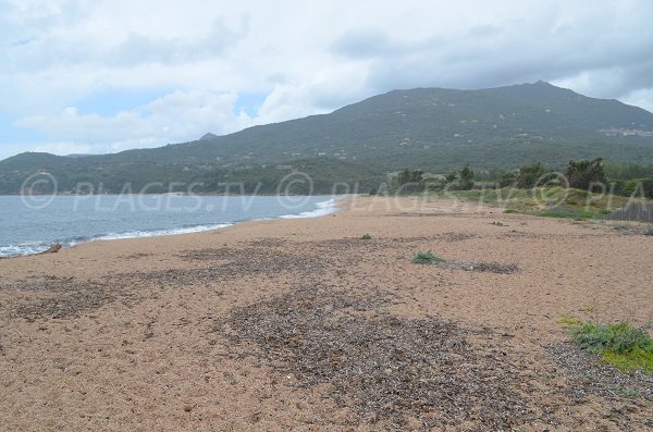 Plage de Baracci à Olmeto