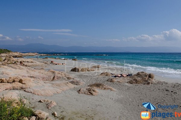 Barbicaja à Ajaccio