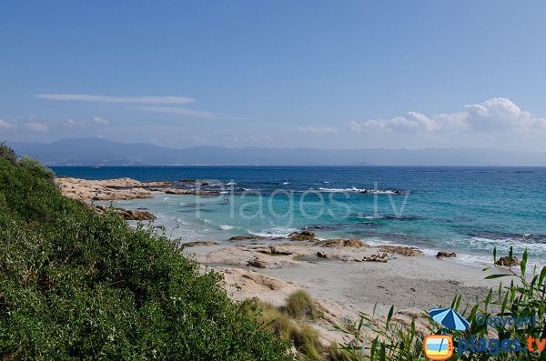 Wild cove in Ajaccio - Barbicaja