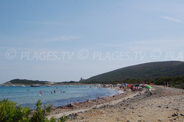 Photo de la plage de Barcaggio avec vue sur la tour d'Agnello - Corse