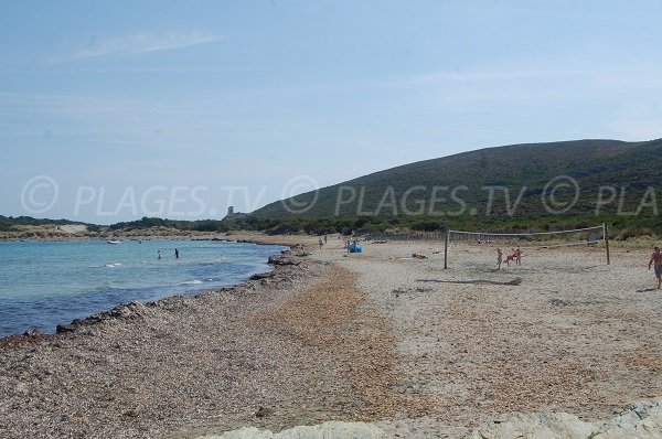 Beach volley sur la plage de Barcaggio