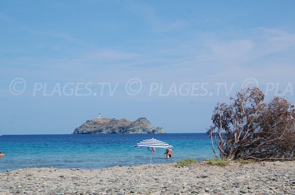 Wild beach in Cap Corse - Barcaggio