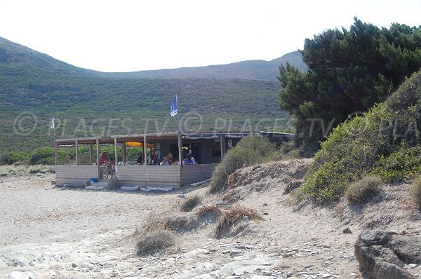 Paillote sulla spiaggia di Barcaggio