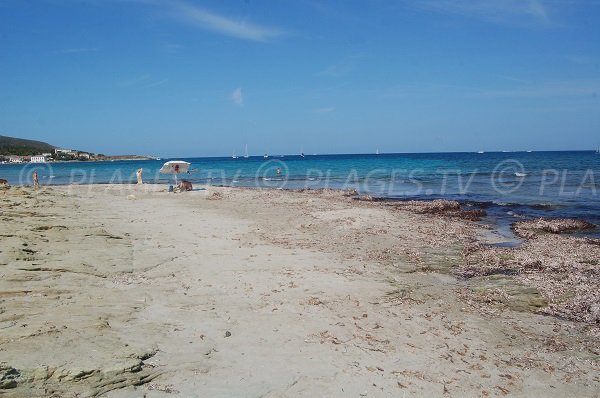 Plage de sable dans le Cap Corse - Barcaggio