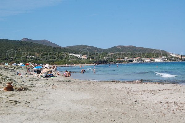 Spiaggia di Barcaggio in Corsica