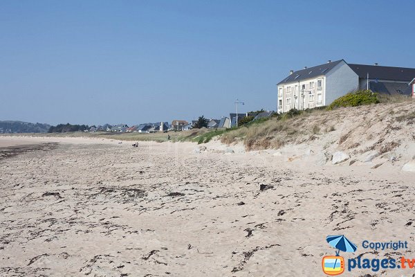 Dunes of Barneville beach in France