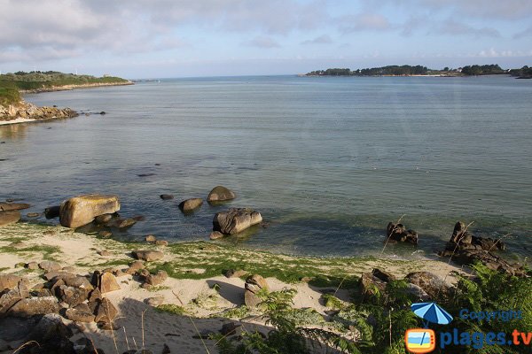 Plage de Barrachou - Algues vertes