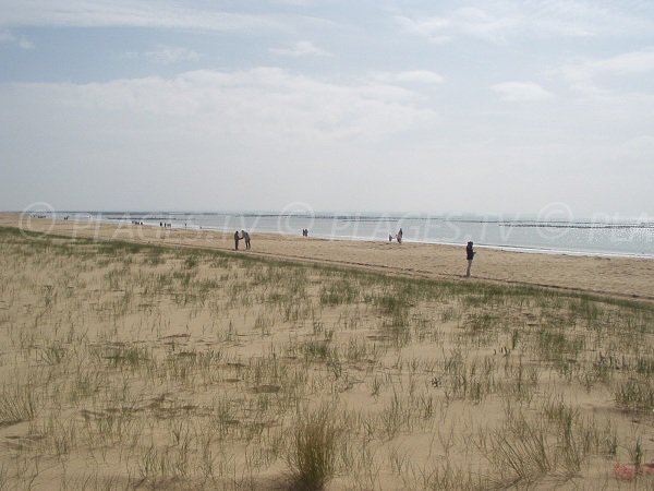 Photo of Barrique beach - La Faute sur Mer