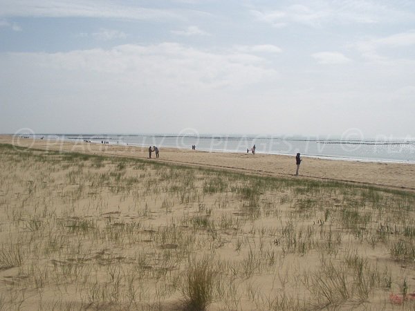 Plage publique de la Barrique à La Faute sur Mer