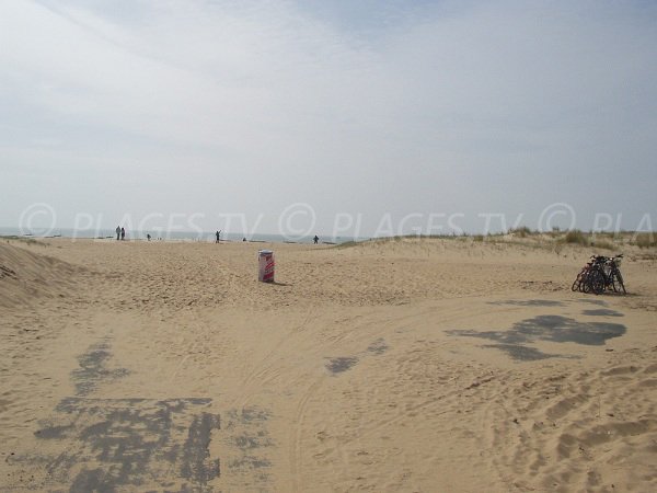 Beach and dune of Barrique beach - La Faute sur Mer