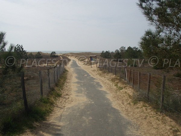 Sentier d'accès à la plage de la Barrique à La Faute sur Mer