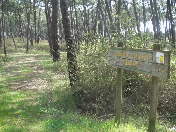 Sentier sportif de la plage de la Barrique à La Faute