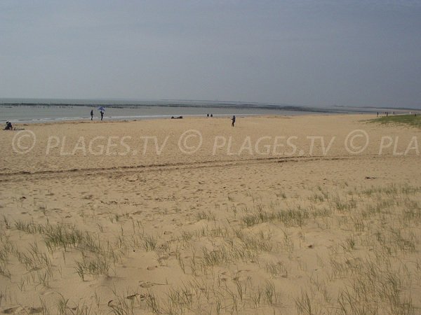 Plage de la Barrique à La Faute sur Mer