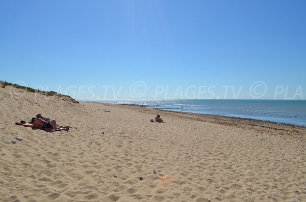 Plage de la Basse Benaie à Sainte Marie de Ré