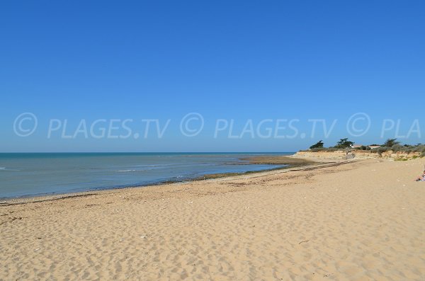 Photo de la plage de la Basse Benaie sur l'ile de Ré (Ste Marie de Ré)